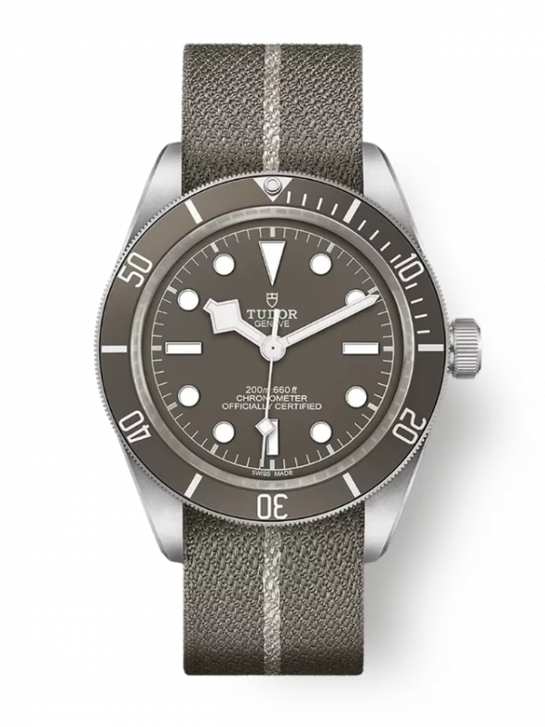 Tudor Black Bay 58 925 M79010SG-0002