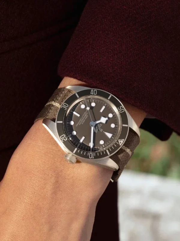 Tudor Black Bay 58 925 M79010SG-0002